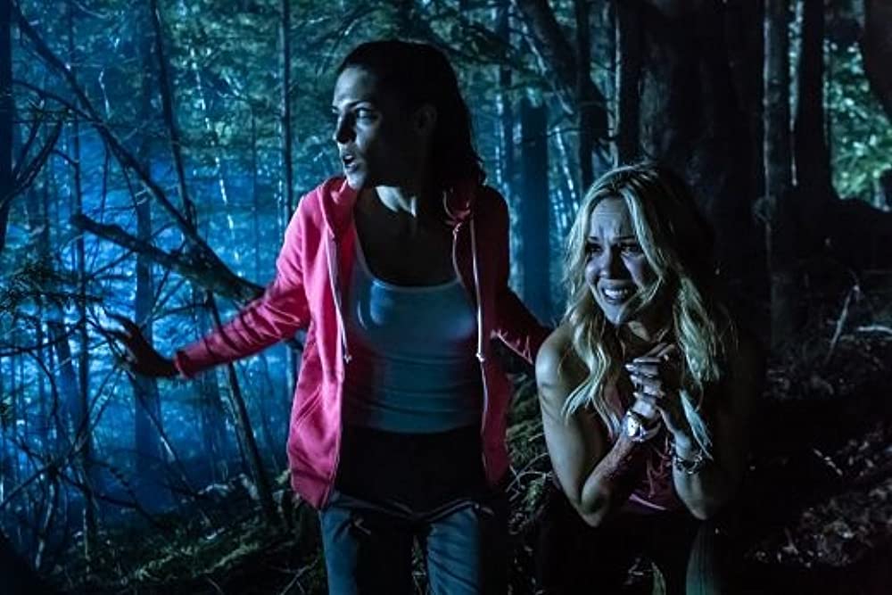 ザ・コレクター ～監禁地帯～の画像