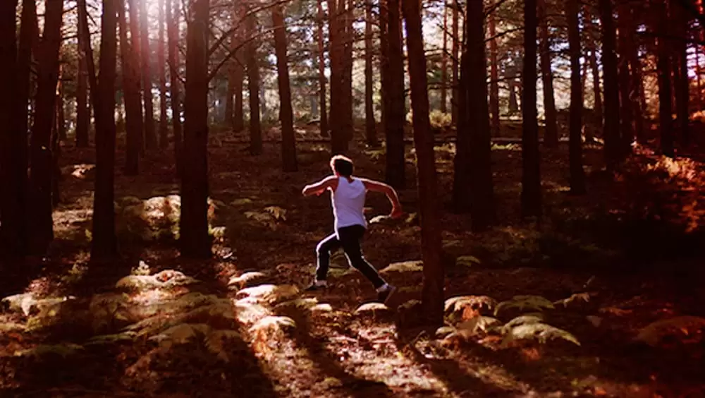 アウトサイダーズの画像