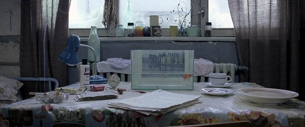 4ヶ月、3週と2日の画像