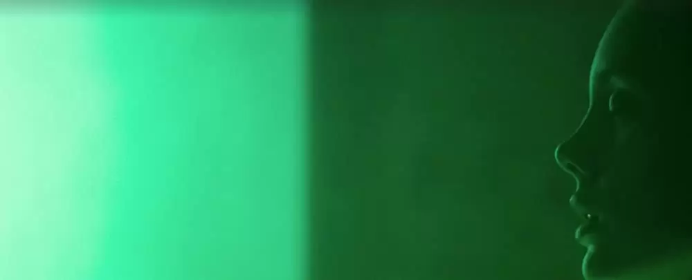 スキン・コレクターの画像