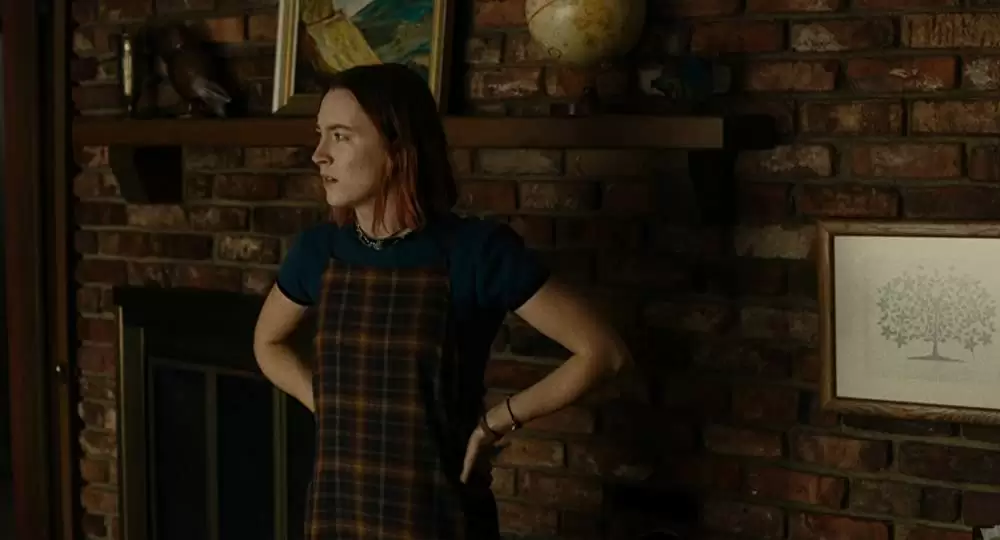 レディ・バードの画像