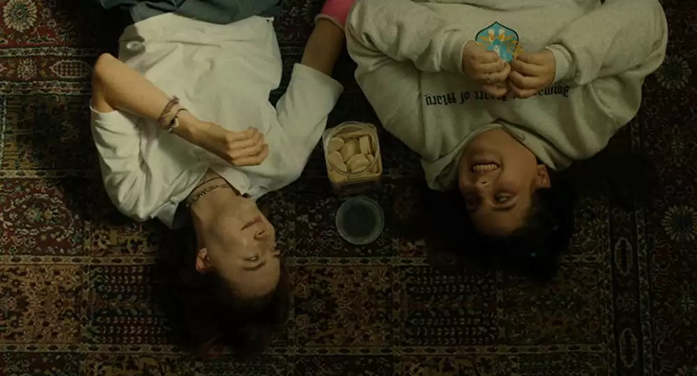 レディ・バードの画像