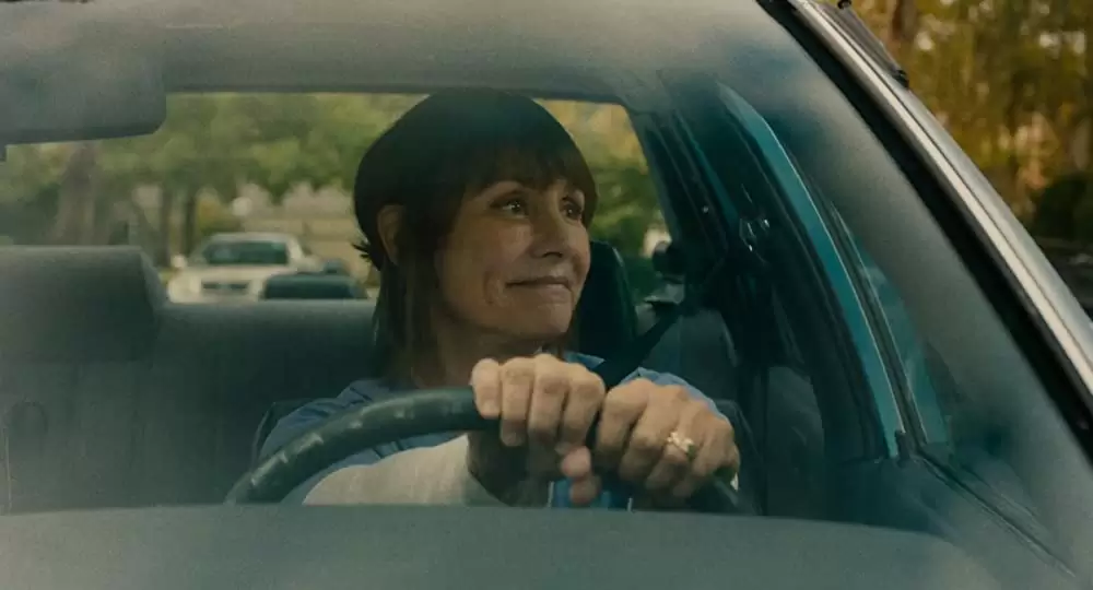 レディ・バードの画像