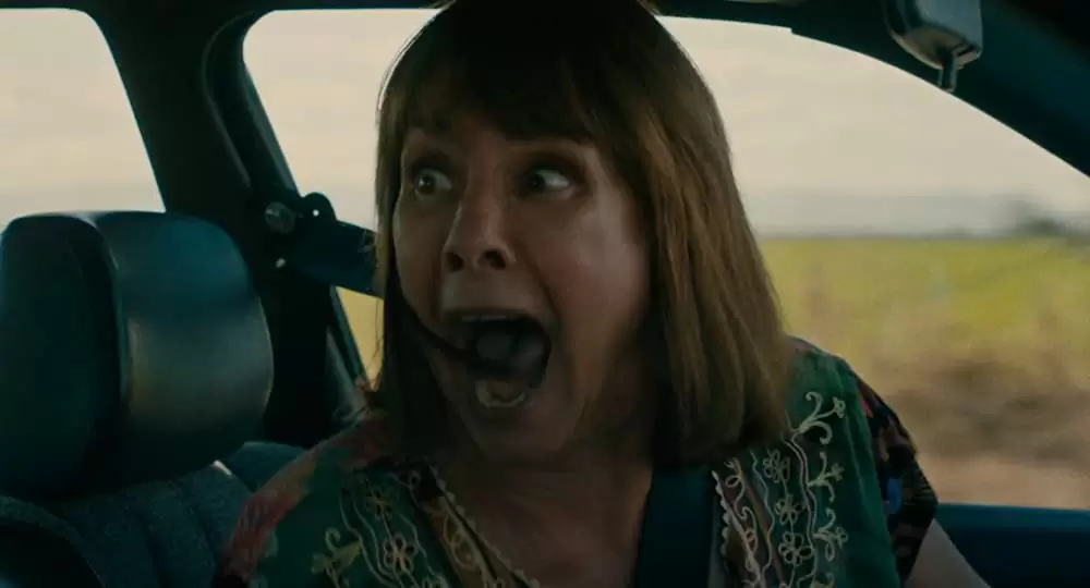 レディ・バードの画像