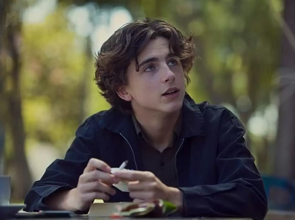 「レディ・バード」ティモシー・シャラメの画像