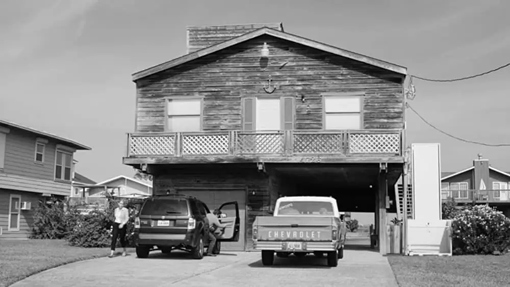 マスタング・アイランドの画像