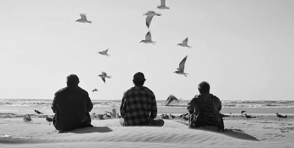 マスタング・アイランドの画像