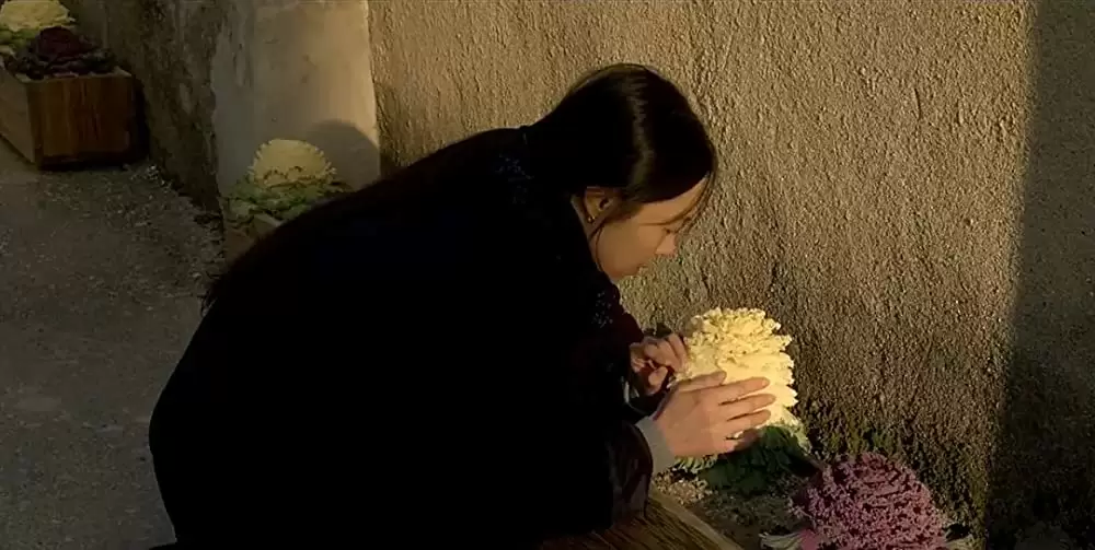 夜の浜辺でひとりの画像