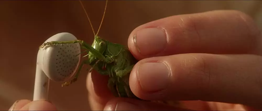 My Brother's Name Is Robert and He Is an Idiotの画像