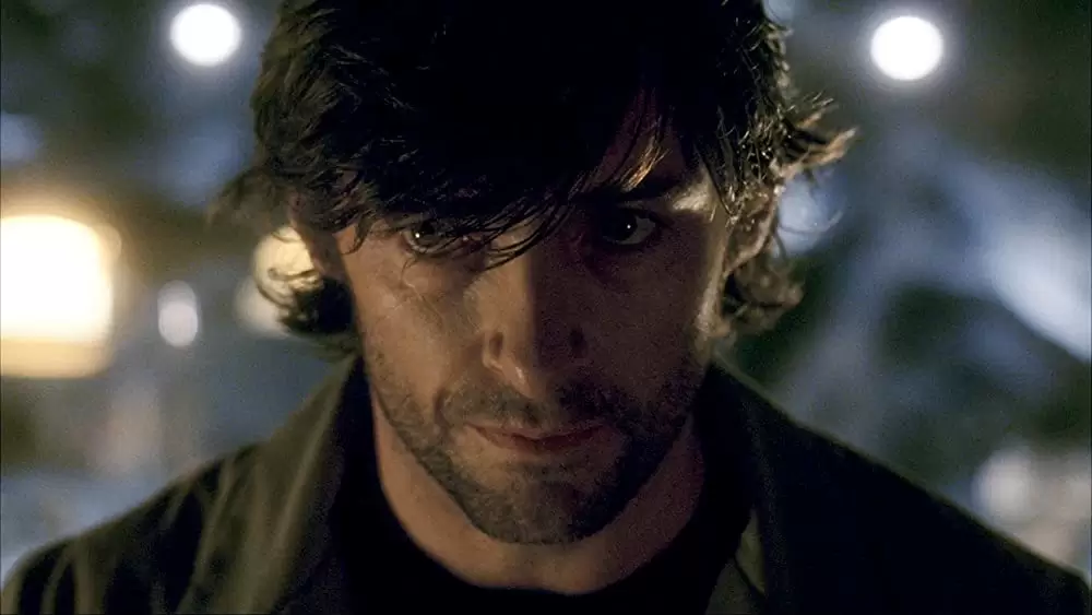 ファウンテン 永遠につづく愛の画像