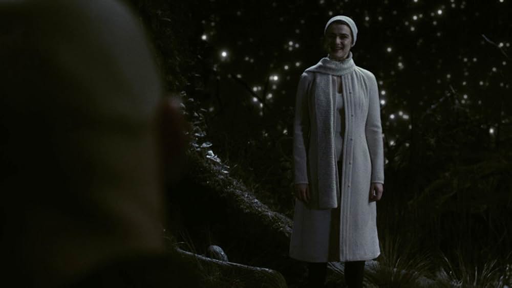 ファウンテン 永遠につづく愛の画像