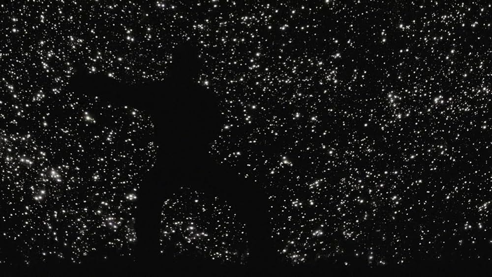 ファウンテン 永遠につづく愛の画像