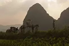 ペインテッド・ヴェール 〜ある貴婦人の過ち〜の画像