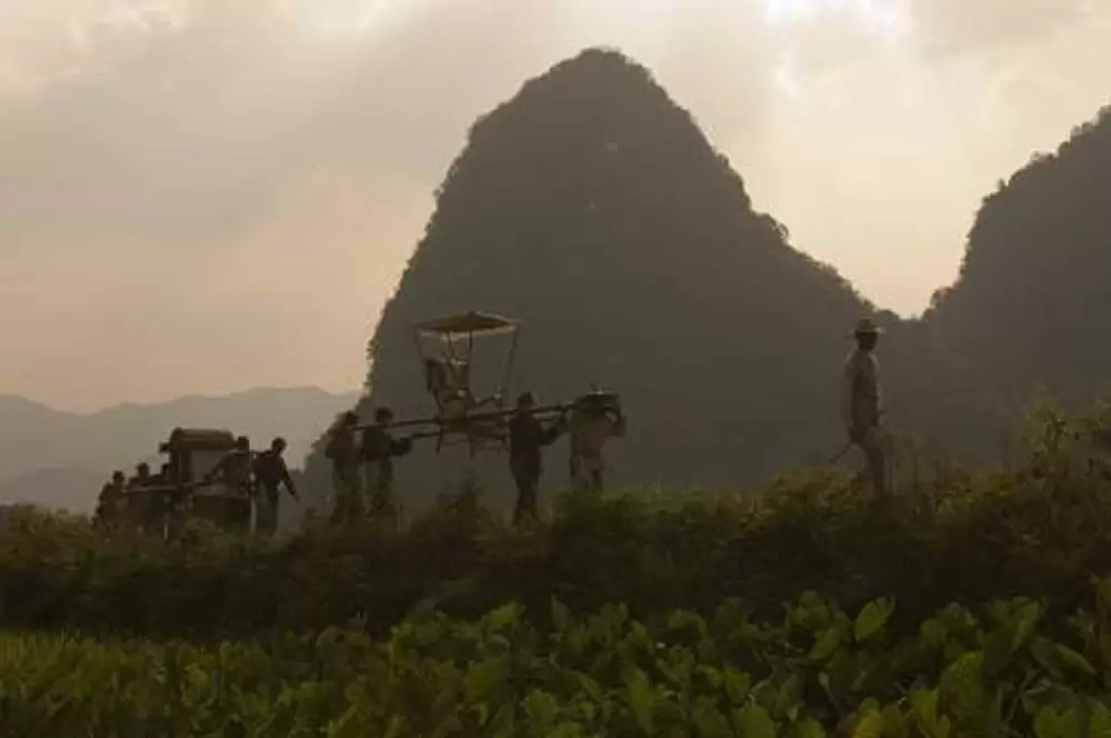 ペインテッド・ヴェール 〜ある貴婦人の過ち〜の画像