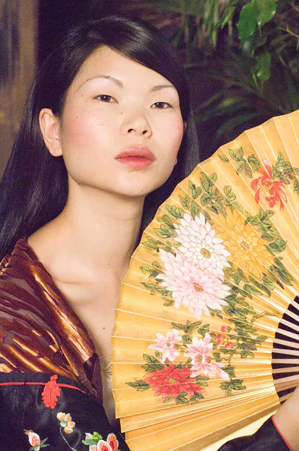 ペインテッド・ヴェール 〜ある貴婦人の過ち〜の画像