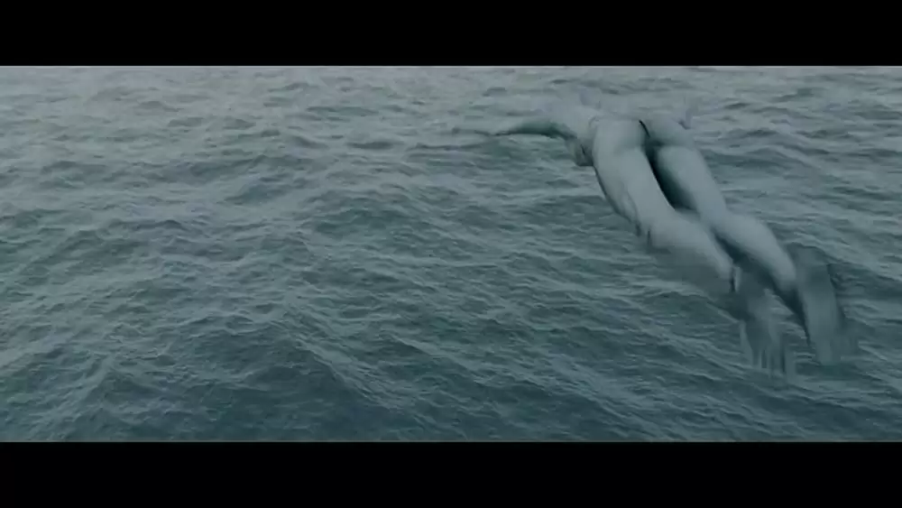 コールド・スキンの画像