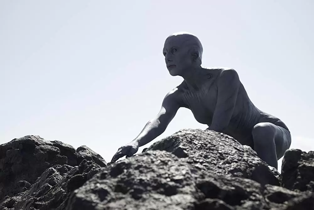 コールド・スキンの画像