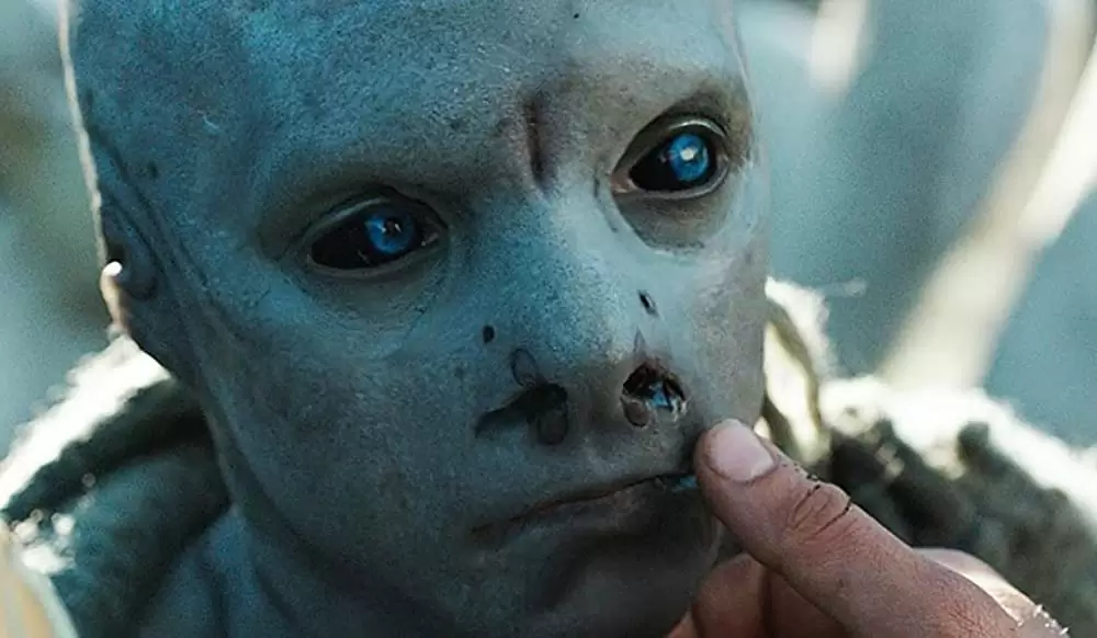 コールド・スキンの画像