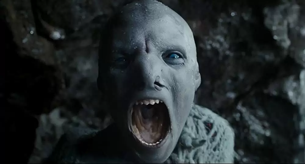 コールド・スキンの画像