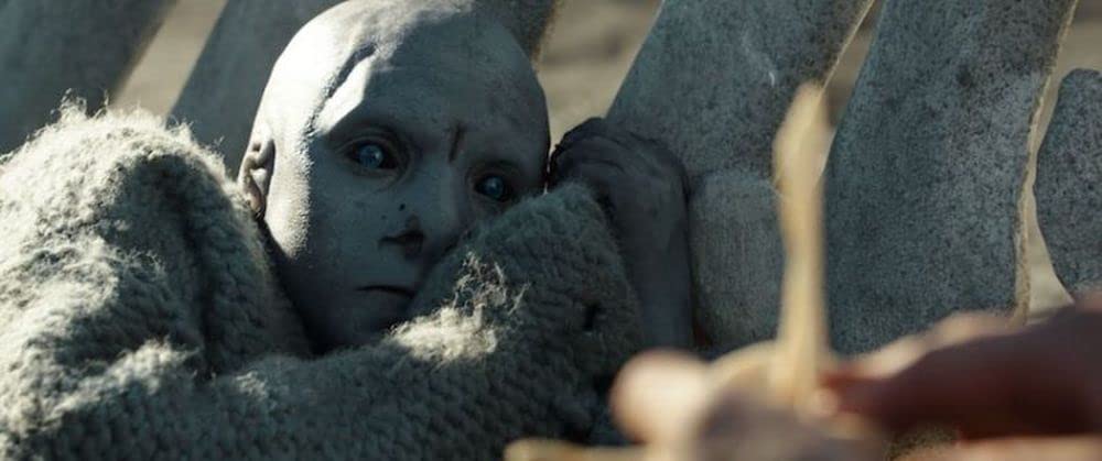 コールド・スキンの画像