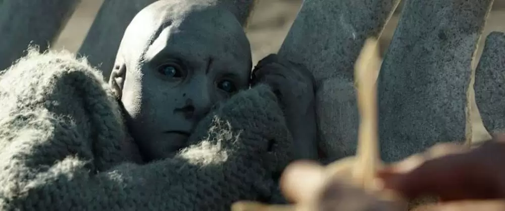 コールド・スキンの画像