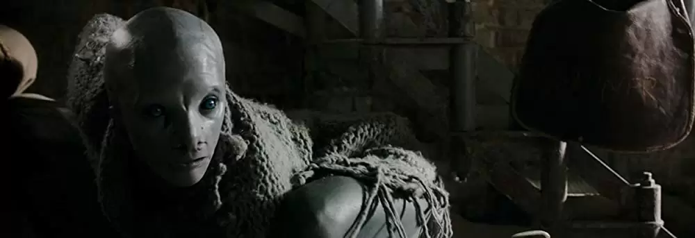 コールド・スキンの画像