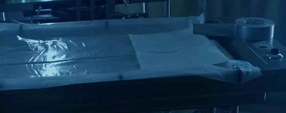 バッド・ディシジョン 終わりなき悪夢のはじまり／悪夢の逃避行の画像