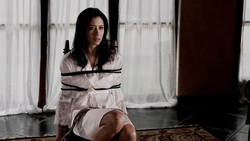 レディ・ボディガードの画像