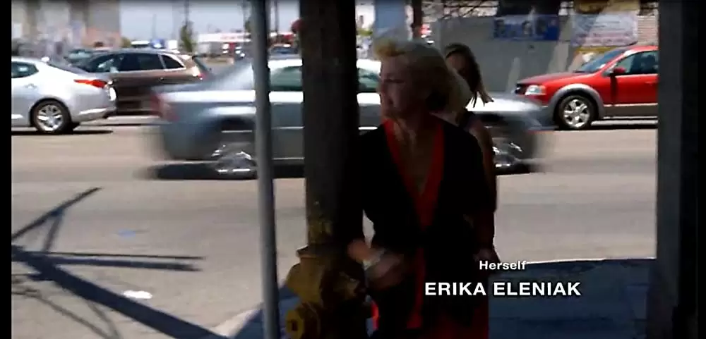 「トップマン 怒りのアメリカン」エリカ・エレニアックの画像