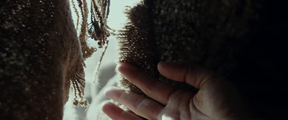 ユアン・マクレガー 荒野の誘惑の画像