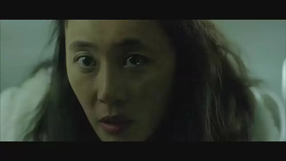 かくれんぼの画像