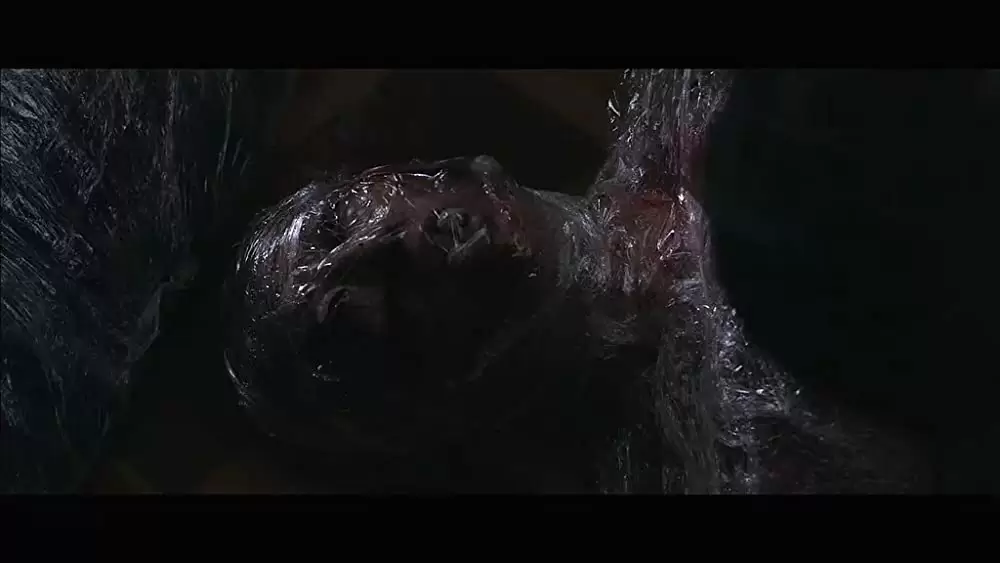 かくれんぼの画像