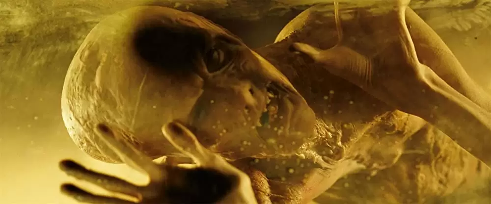 「HOSTILE ホスティル」ハビエル・ボテットの画像