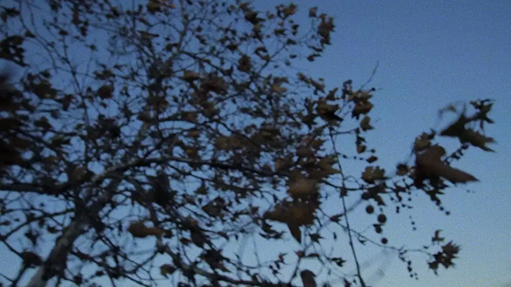 静寂を求めて −癒やしのサイレンス−の画像