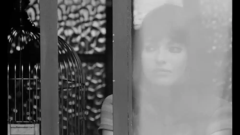 ヨーロッパ横断特急の画像