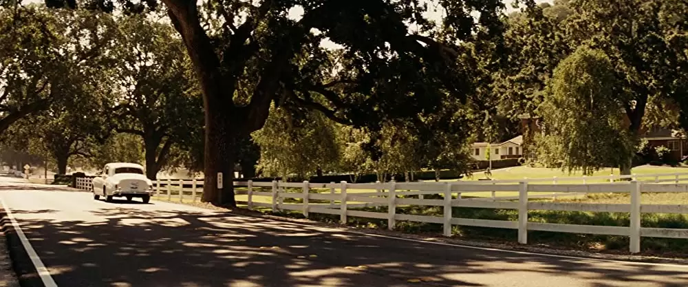 サンキュー・スモーキングの画像