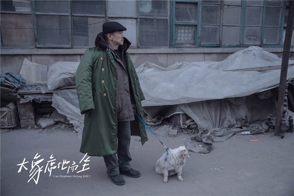 象は静かに座っているの画像