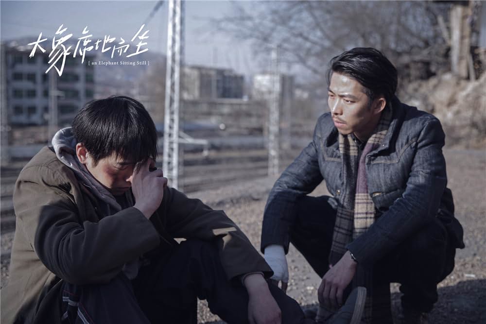 象は静かに座っているの画像