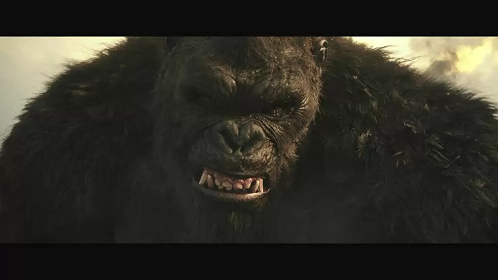 ゴジラvsコングの画像