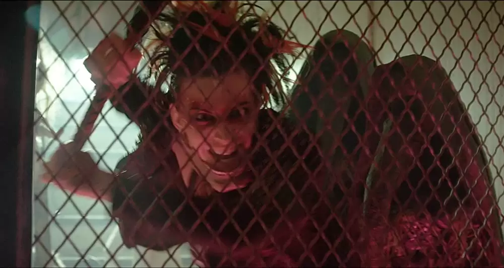 トラウマ・ゲーム 恐怖体験アトラクションの画像