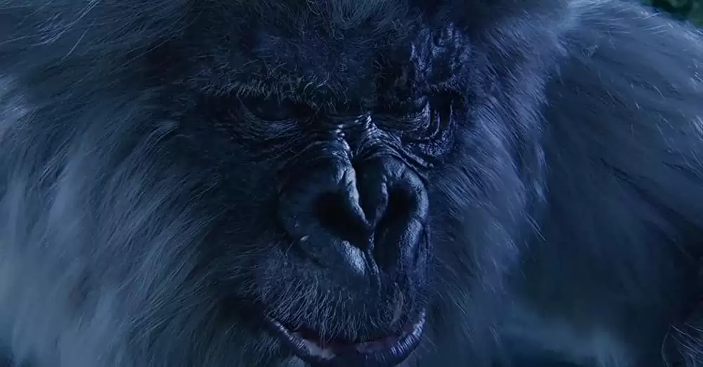 王朝の陰謀 闇の四天王と黄金のドラゴンの画像