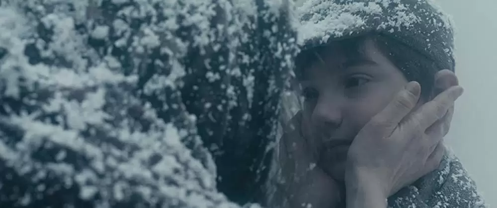 母との約束、250通の手紙の画像