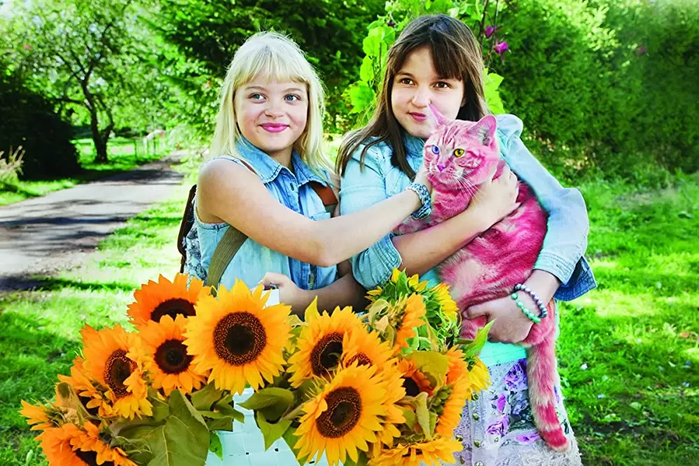 オンネリとアンネリとひみつのさくせんの画像