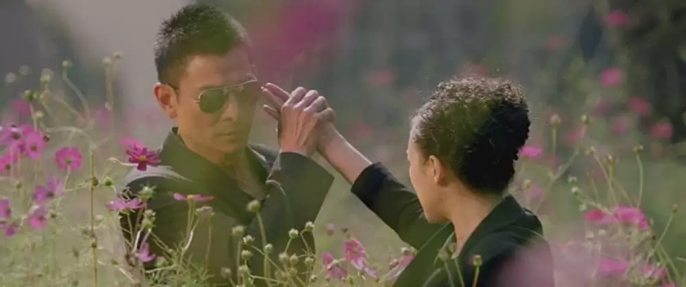 ボディ・スイッチ -変更性-の画像