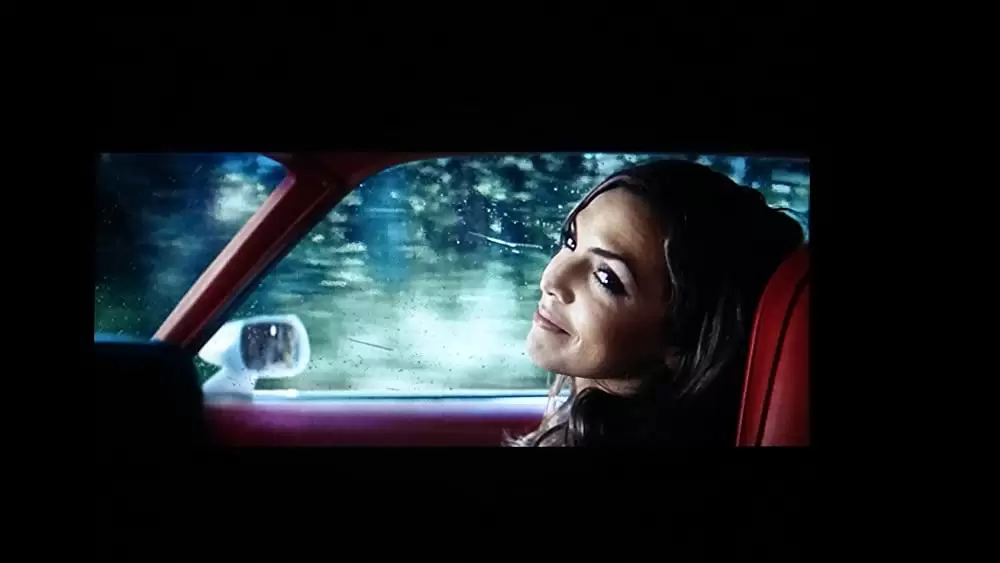 ワイルド・レースの画像