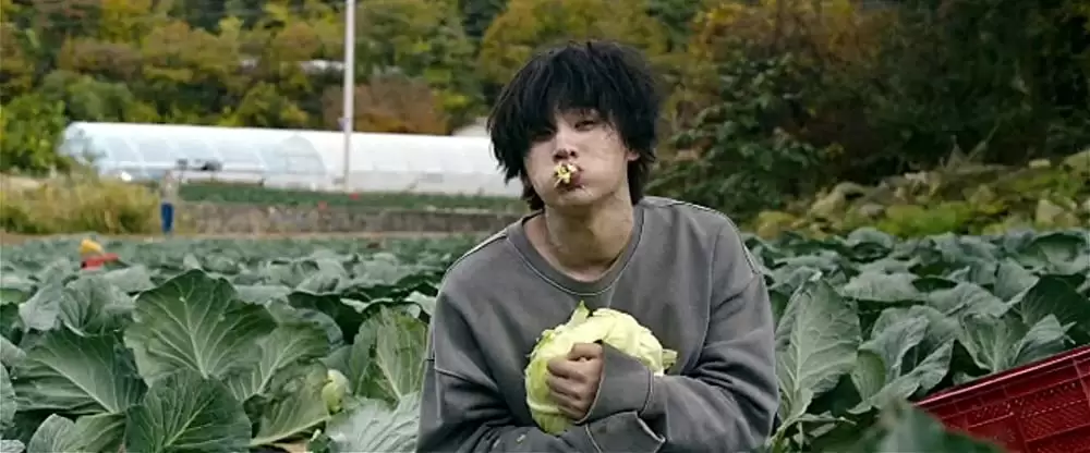 感染家族の画像