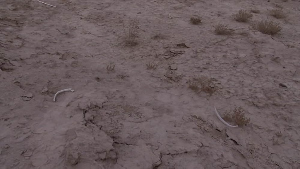 「死霊魂」の画像