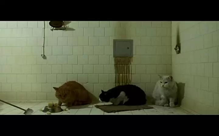 タクシデルミア ある剥製師の遺言の画像