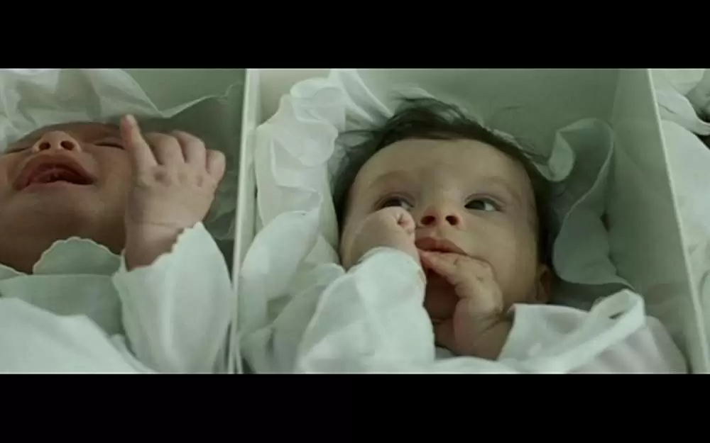 タクシデルミア ある剥製師の遺言の画像