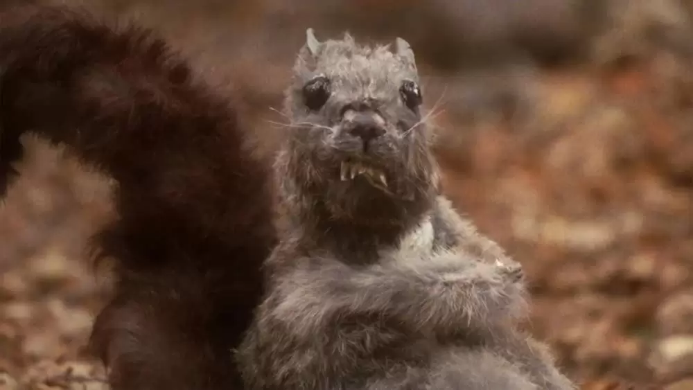 アントラム 史上最も呪われた映画の画像